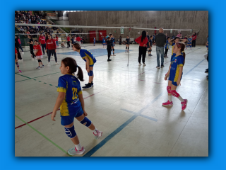 Volley.S3.Gerenzano.25.02.2024 (48).jpg